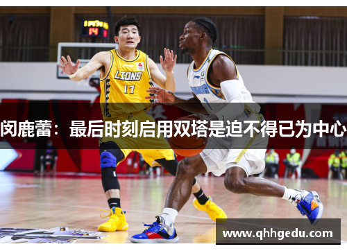 闵鹿蕾：最后时刻启用双塔是迫不得已为中心